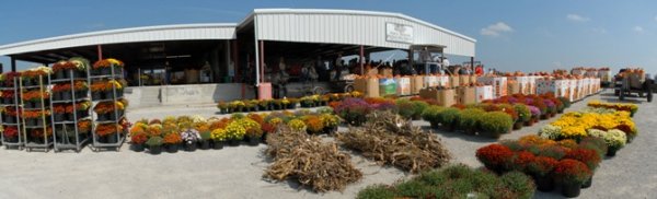 North Missouri Produce Auction